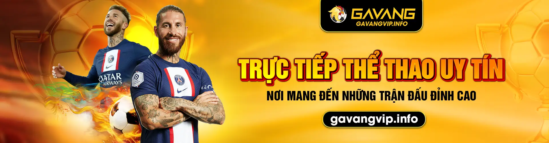 Banner gà vàng vip info