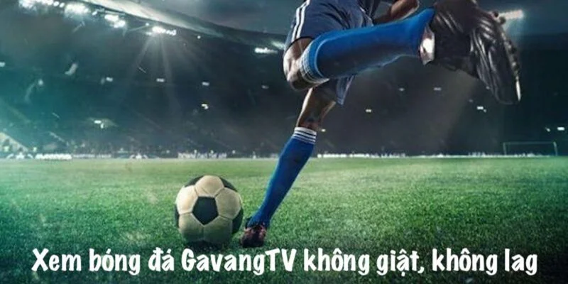 Hội viên gavangtv được kết nối với cộng đồng yêu thể thao