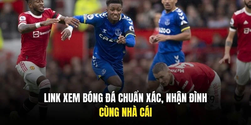 Link xem bong da chuẩn xác, nhận định cùng gà vàng